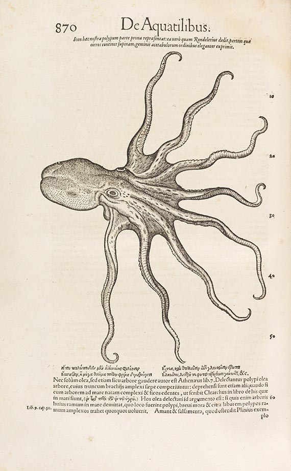 Conrad Gesner - Historiae animalium liber IIII