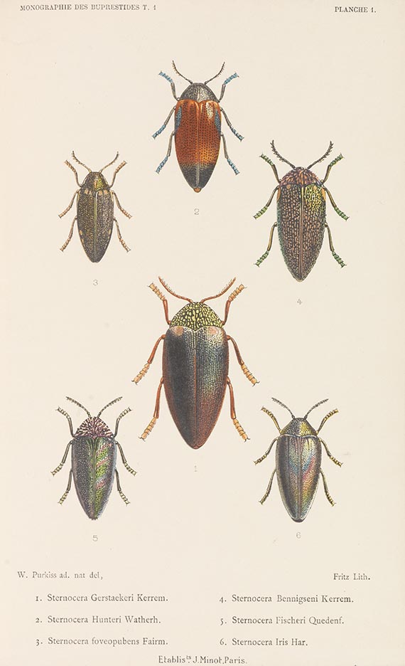 Charles Kerremans - Monographie des buprestides