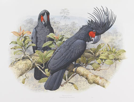   - 3 ornithologische Werke (2x Forshaw/Cooper, 1x John Gould)