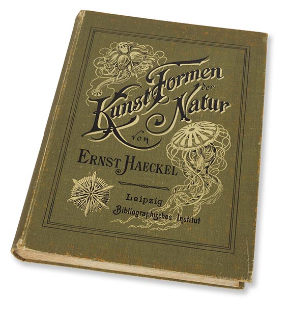 Ernst Haeckel - Kunstformen der Natur - 