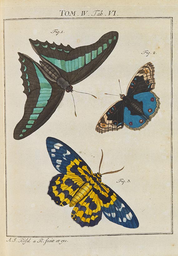 Augustin Johann Rösel von Rosenhof - Der monatlich-herausgegebenen Insecten-Belustigung