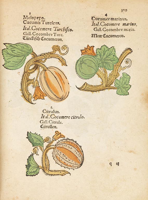   - Plantarum, arborum, fructium, et herbarum effigies - 