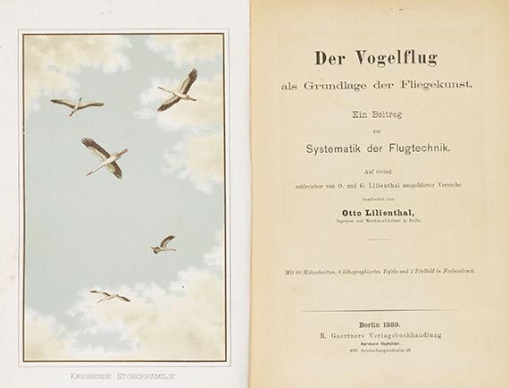 Otto Lilienthal - Der Vogelflug