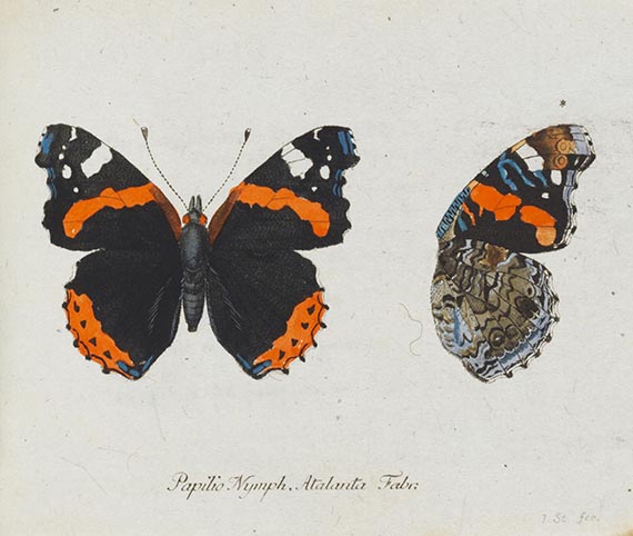 Georg Wolfgang Franz Panzer - Faunae insectorum Germanicae Initia. 190 Hefte und Index in 51 Bänden. - 