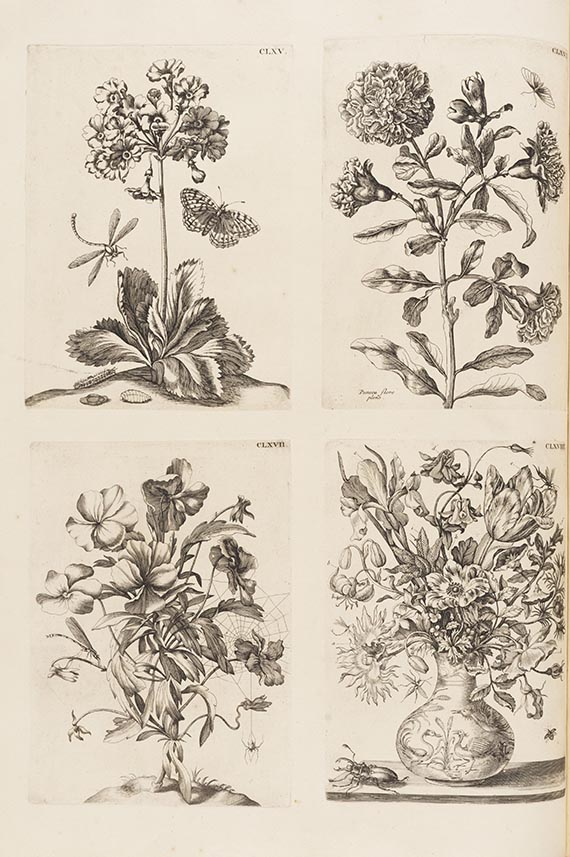 Maria Sibylla Merian - De Europische Insecten. Angebunden: Surinaamsche Insecten