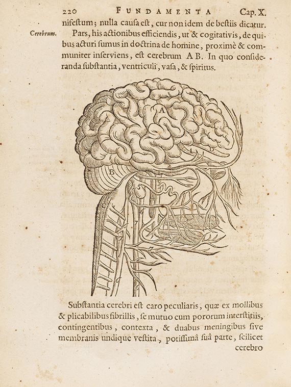 Henricus Regius - Fundamenta physices