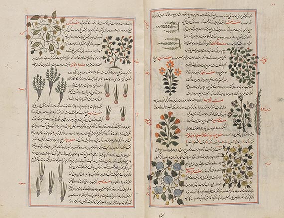  Manuskripte - Farrukh-namah Jamali. Persische Handschrift auf Papier - 