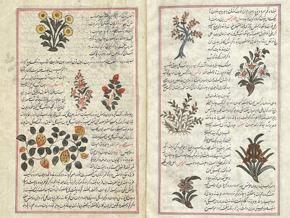  Manuskripte - Farrukh-namah Jamali. Persische Handschrift auf Papier - 
