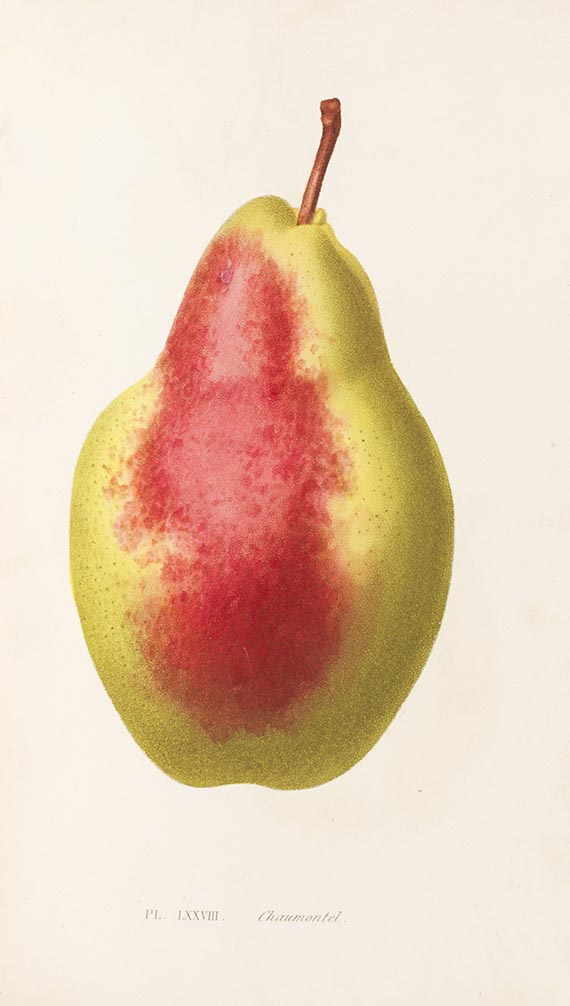 Louis Noisette - Le Jardin Fruitier. 2 Bde.