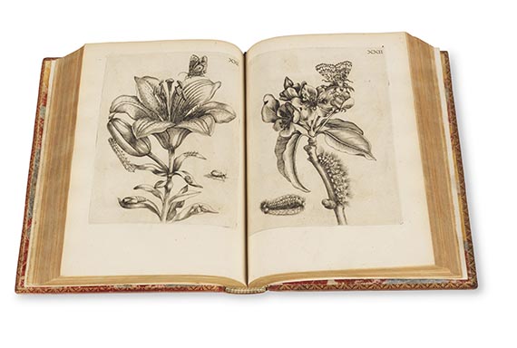 Maria Sibylla Merian - Erucarum ortus, alimentum et paradoxa metamorphosis - 
