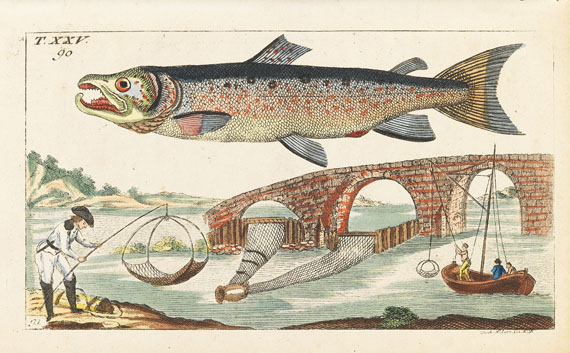 Gottlieb Tobias Wilhelm - Unterhaltungen aus der Naturgeschichte - 