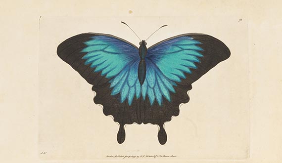 George Shaw - Vivarium naturae ... The naturalist´s miscellany - 