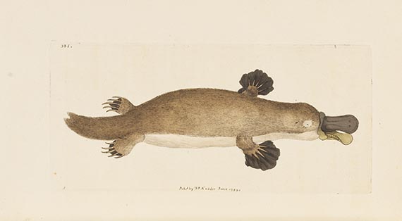 George Shaw - Vivarium naturae ... The naturalist´s miscellany - 