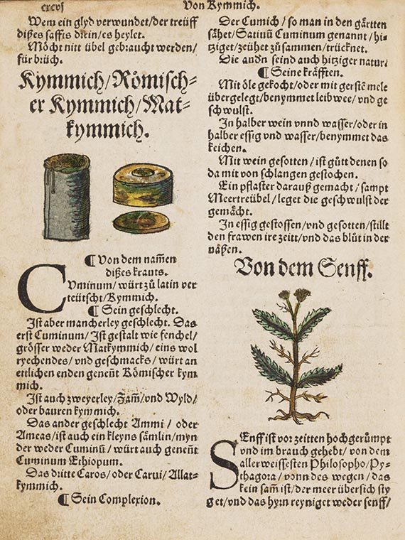 Otto Brunfels - Kreüterbuch contrafayt. - Angebunden: Herbarum imagines vivae (Egenolff 1535) - 