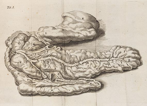 Reinier de Graaf - De succi pancreatici natura et usu exercitatio anatomico-medica