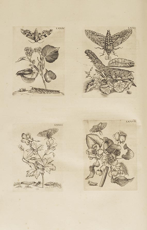 Maria Sibylla Merian - Surinaamsche Insecten (&) Europische Insecten - 