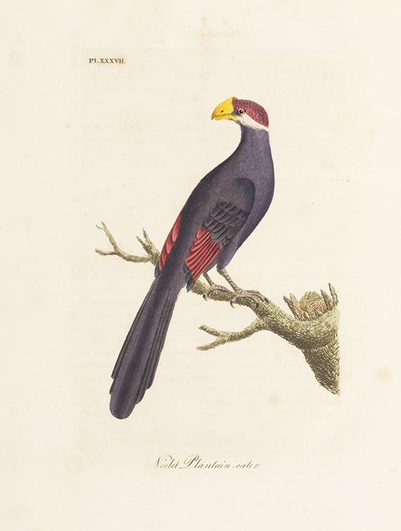 John Latham - General History of Birds. 10 Bände